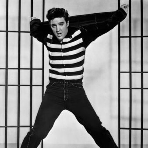 The Illustrated Elvis by W.A. Harbinson Magazine - Picture 14 of 16